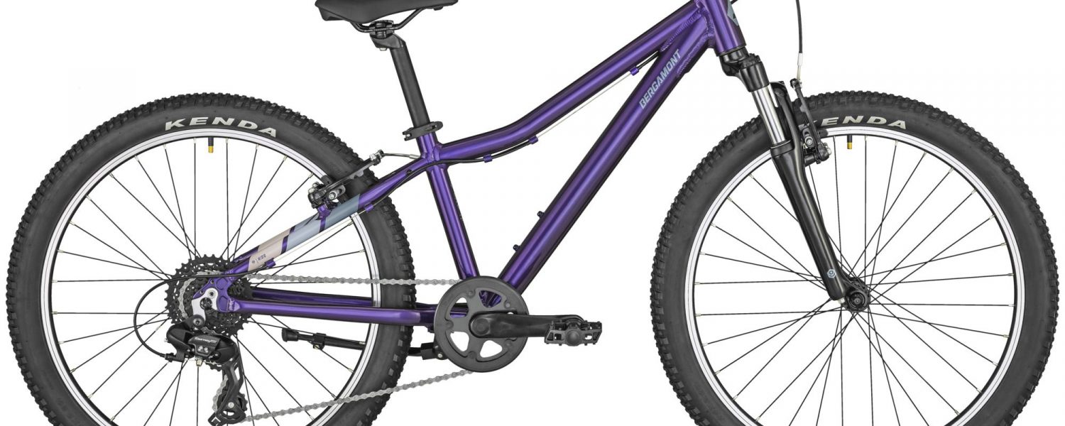 Bergamont Revox 24