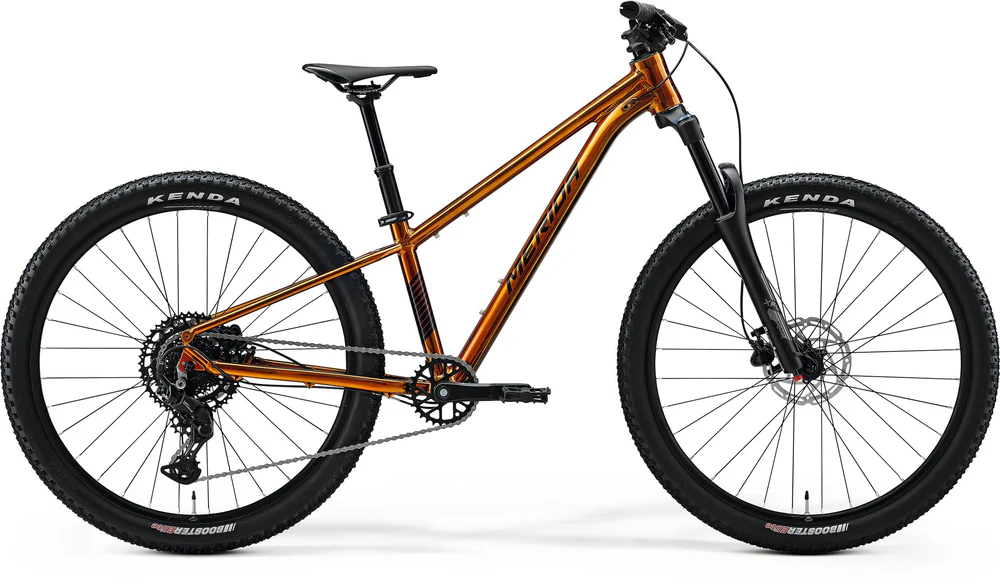 Merida Matts J Champion